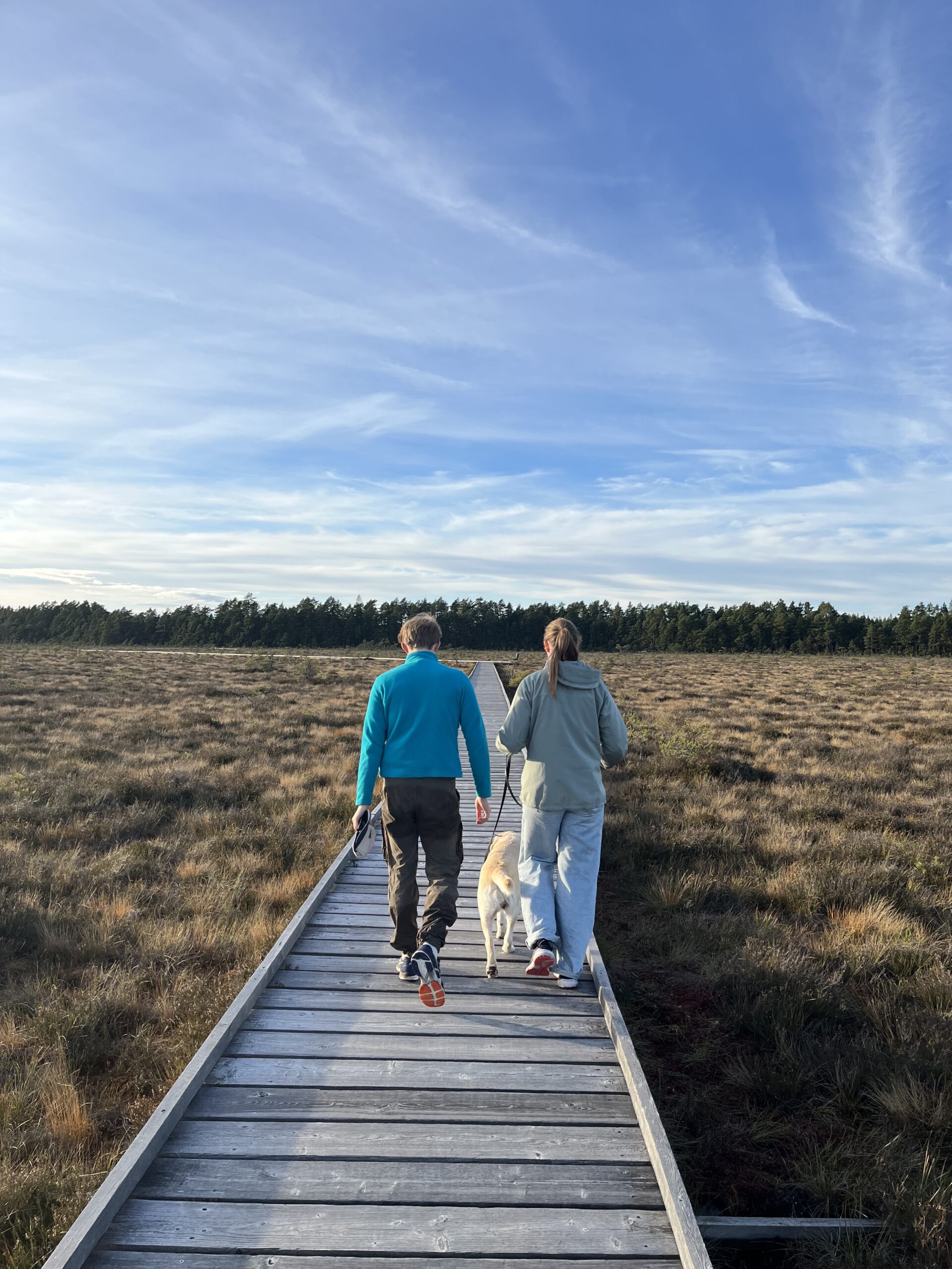 Två personer med hund i koppel promenerandes på spång ut på på Store Mosse Nationalpark