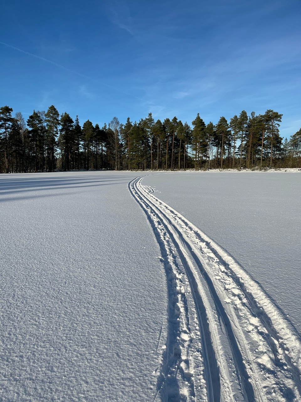 Vinterbild med skidspår på frusen sjö och skogen i bakgrunden